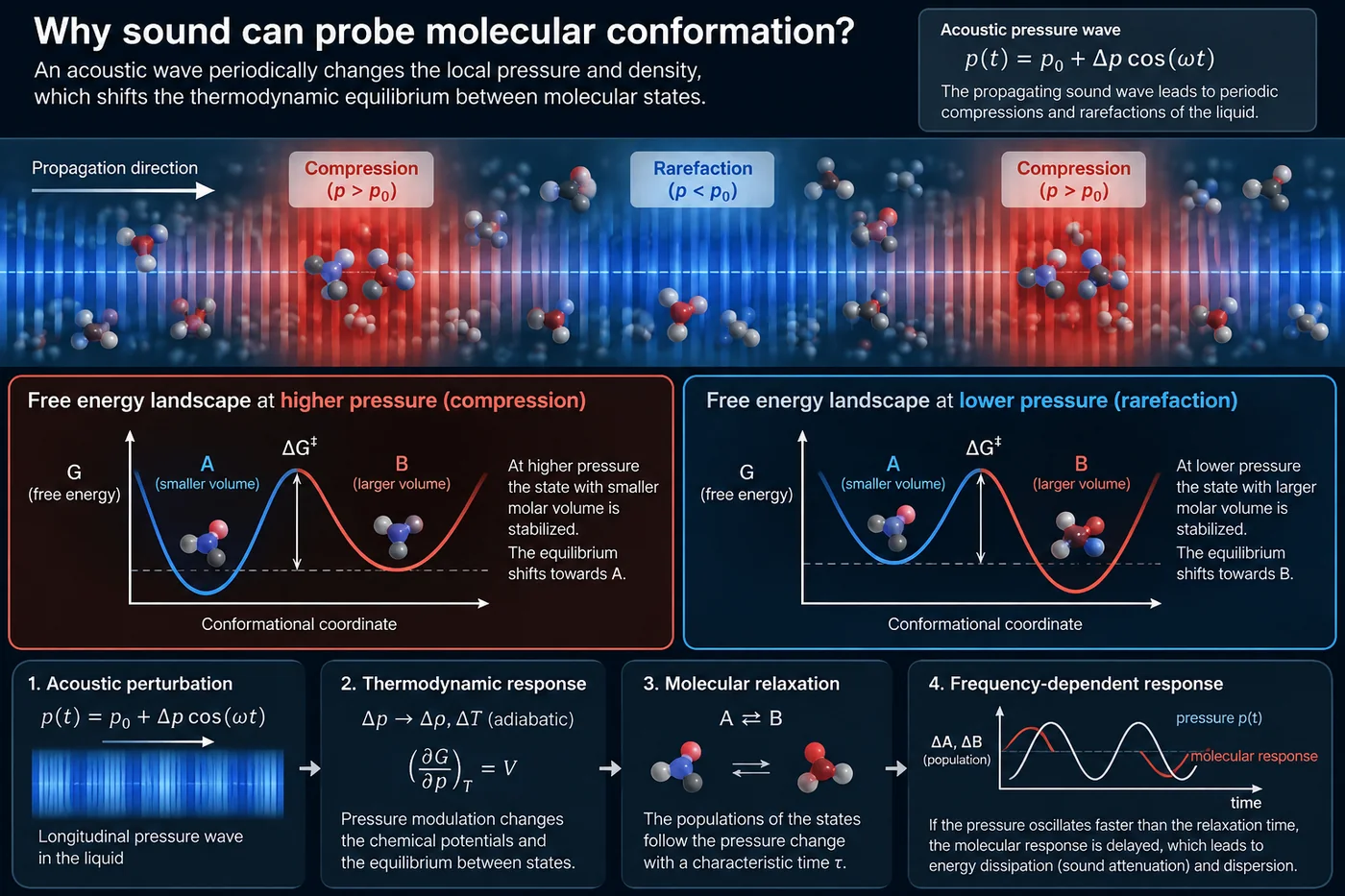 Conceptual illustration of how an ultrasonic pressure wave probes molecular relaxation